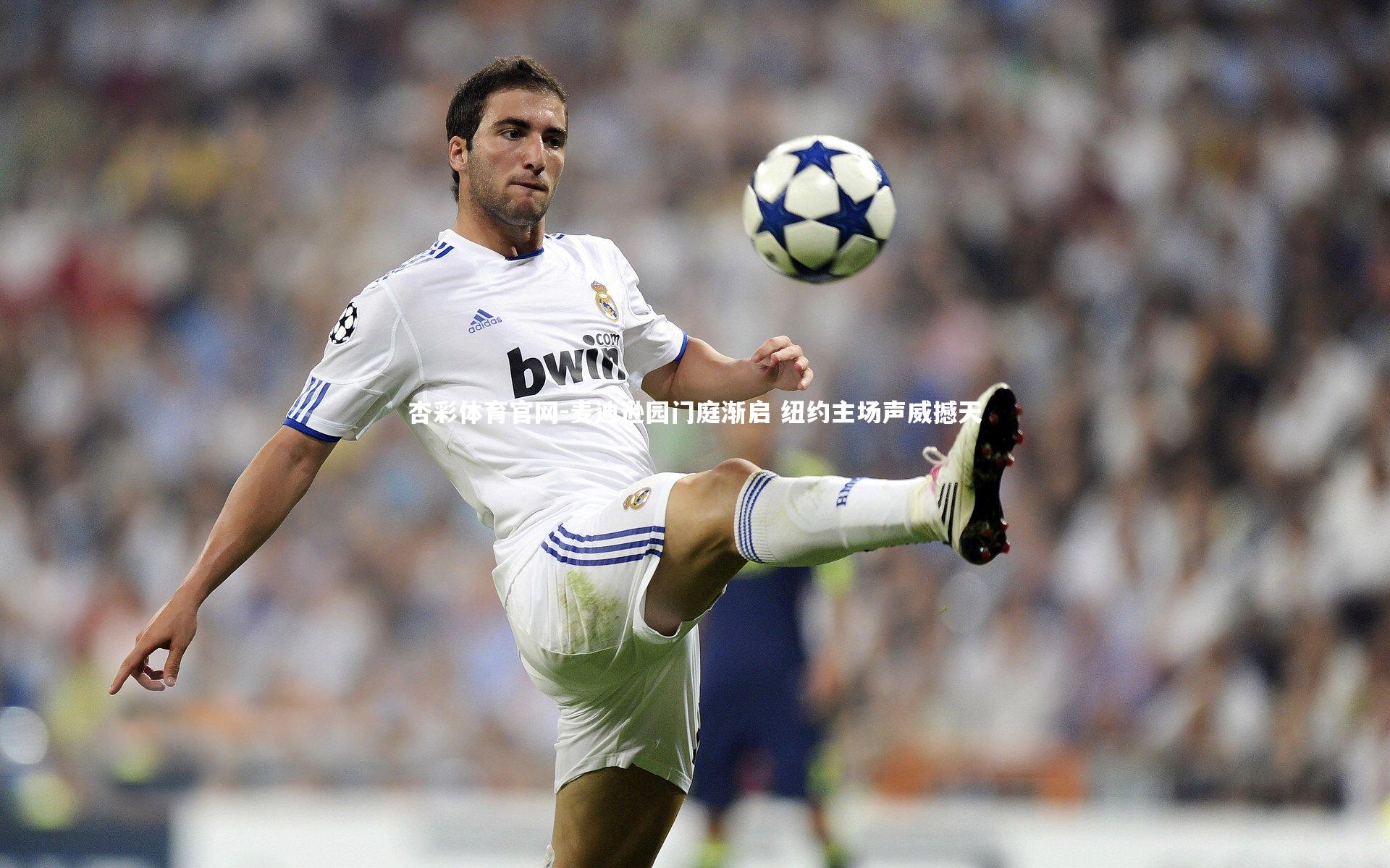 杏彩体育官网-麦迪逊园门庭渐启 纽约主场声威撼天