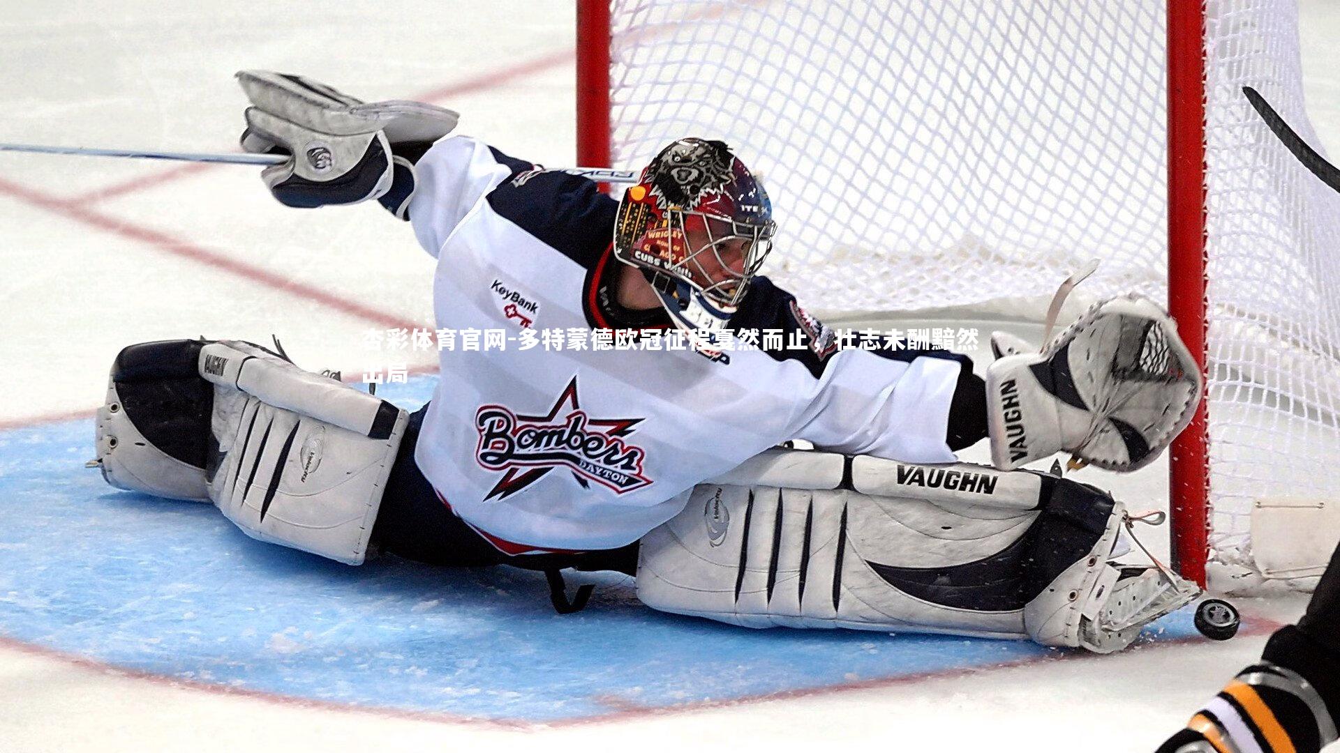 多特蒙德欧冠征程戛然而止，壮志未酬黯然出局