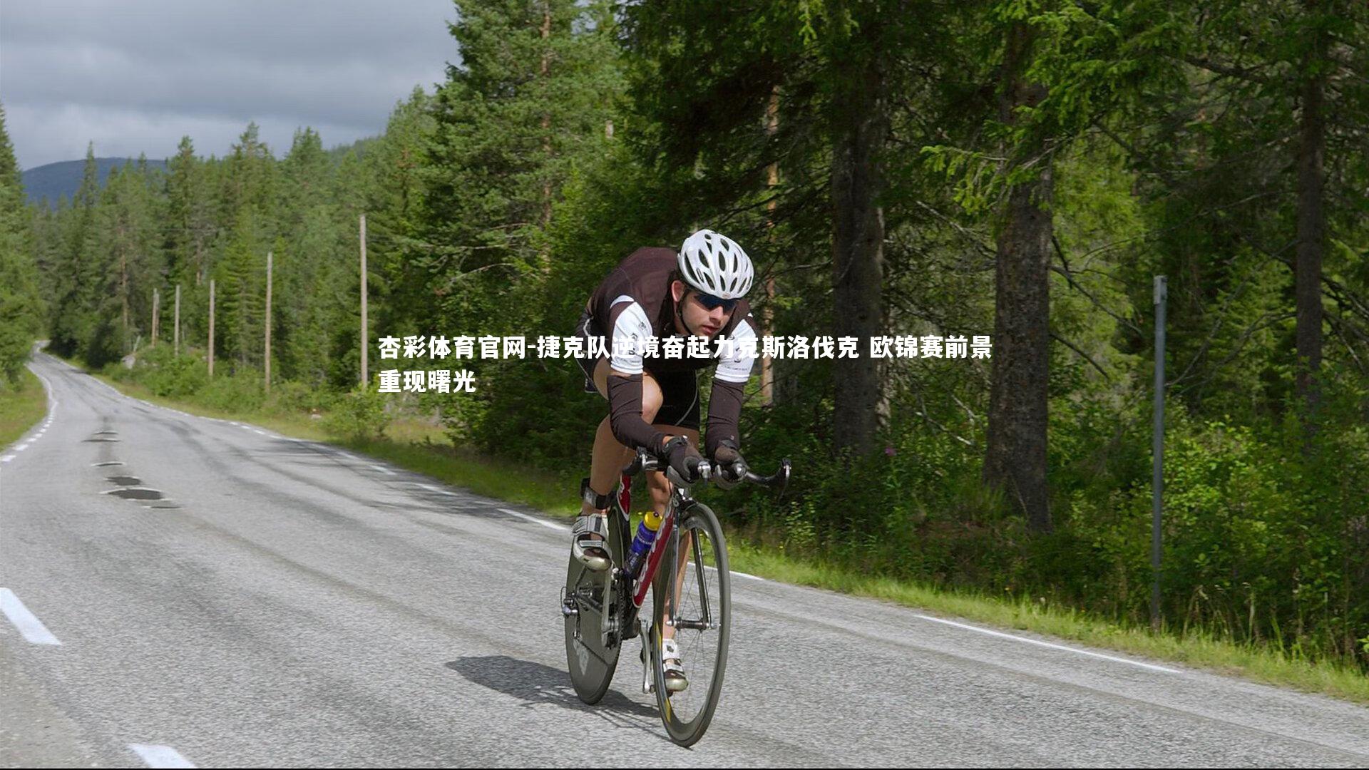 杏彩体育官网-捷克队逆境奋起力克斯洛伐克 欧锦赛前景重现曙光